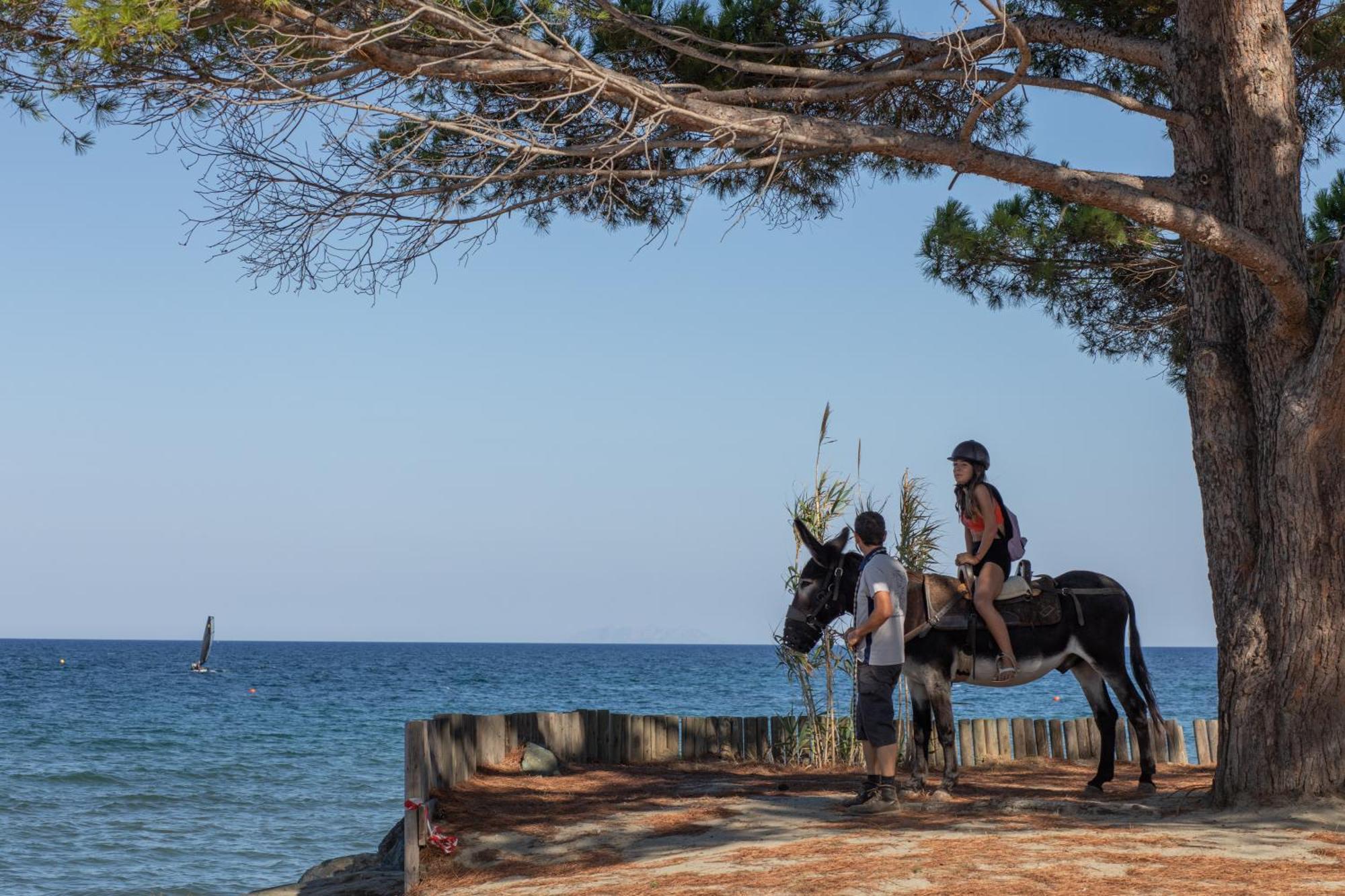 Camping Merendella San-Nicolao Esterno foto