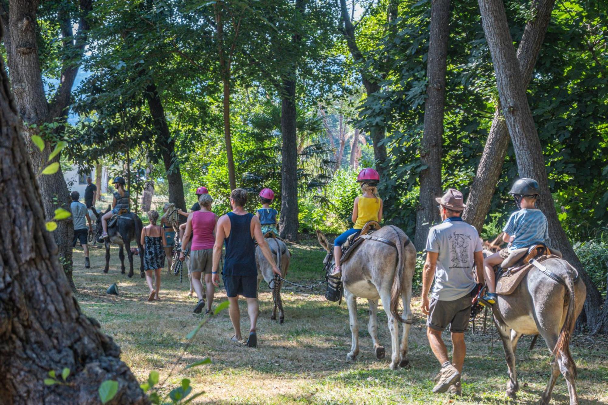 Camping Merendella San-Nicolao Esterno foto
